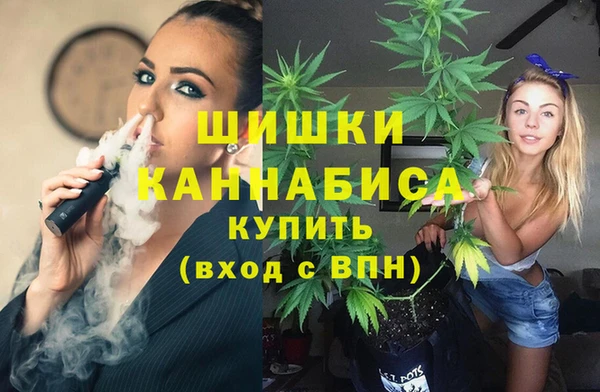 амф Каменногорск