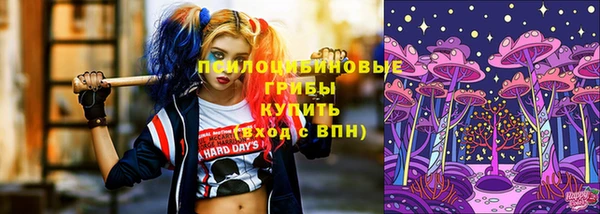 кокаин премиум Каменка